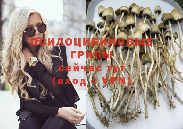 spice Алзамай