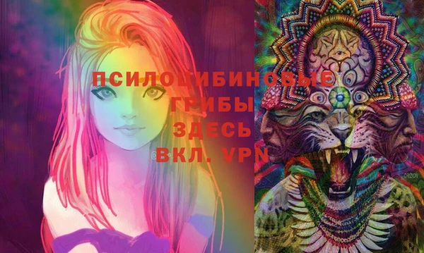 spice Алзамай